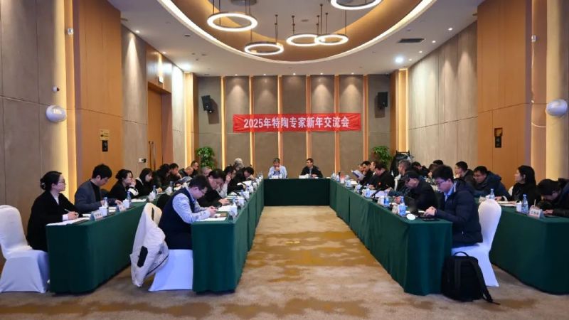 開年聚力 共謀新篇 | 2025年特陶專家新年交流會圓滿舉辦